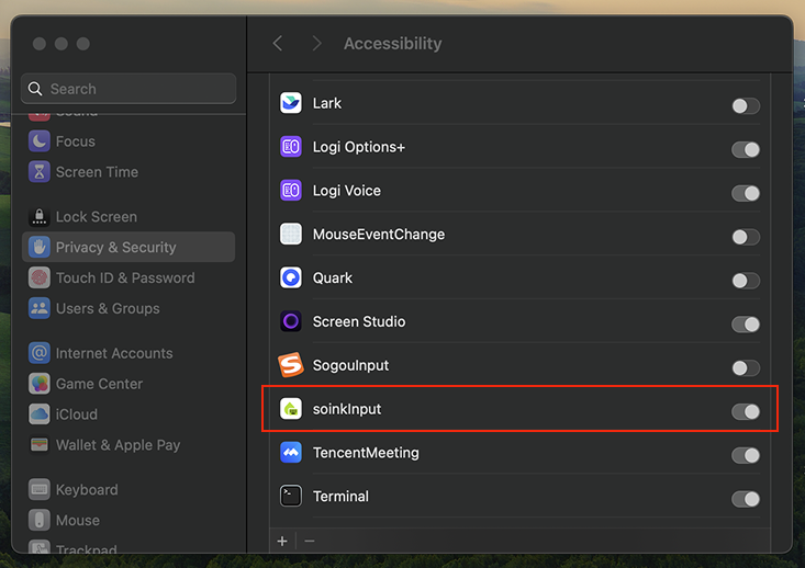 Accessibility permission in System Settings